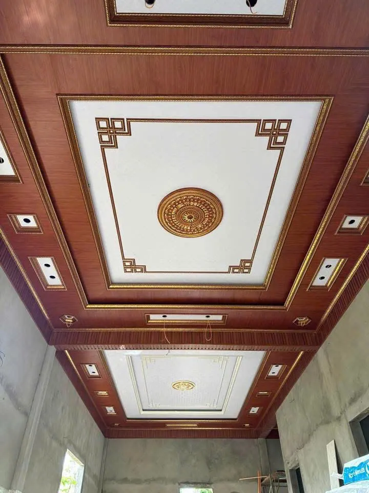 Mẫu 7