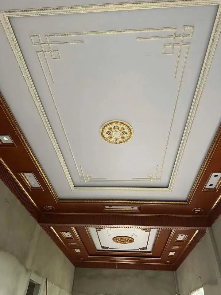 Mẫu 44