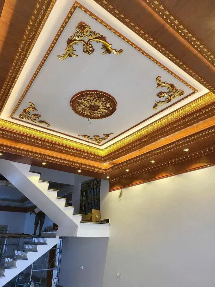 Mẫu 81