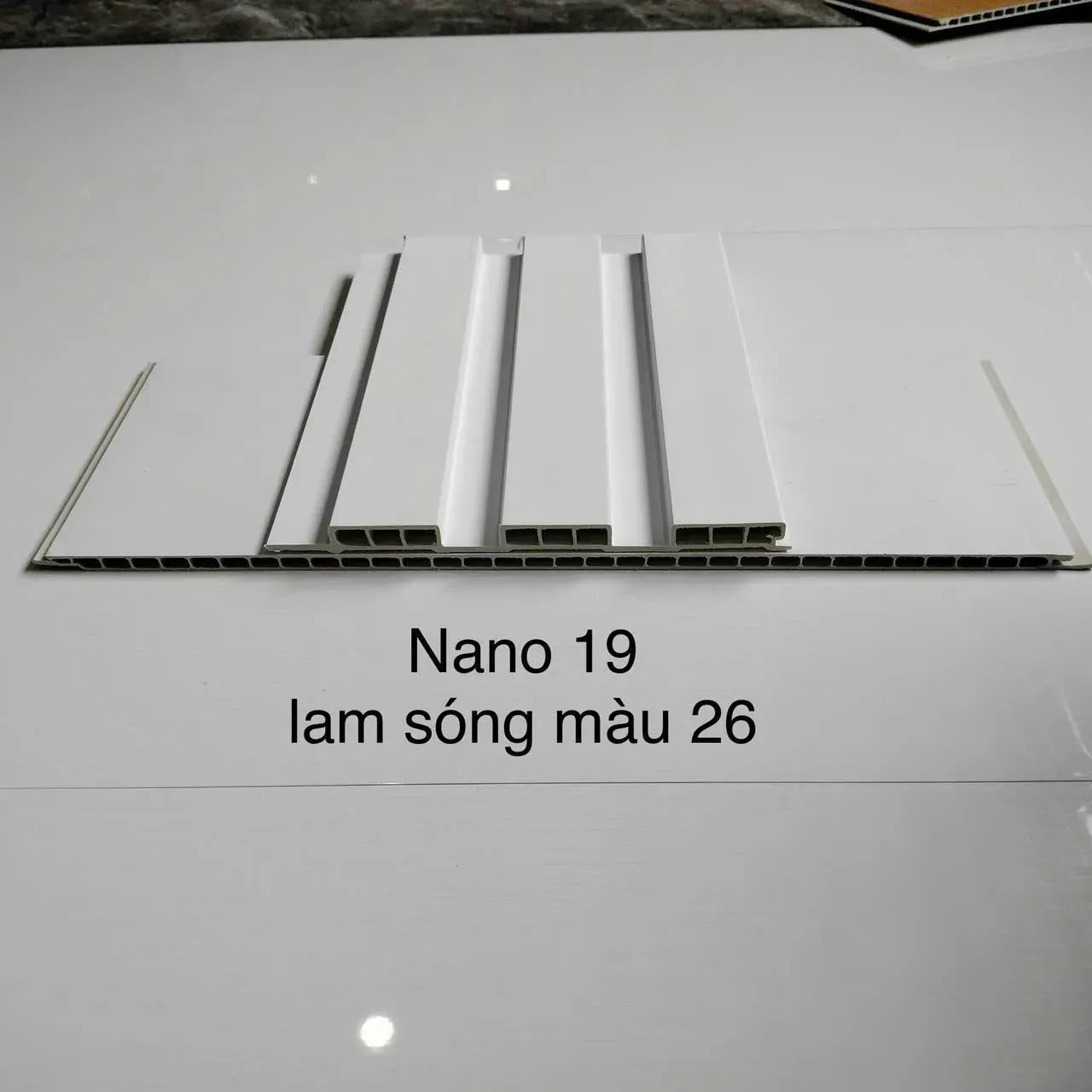 Mẫu 12