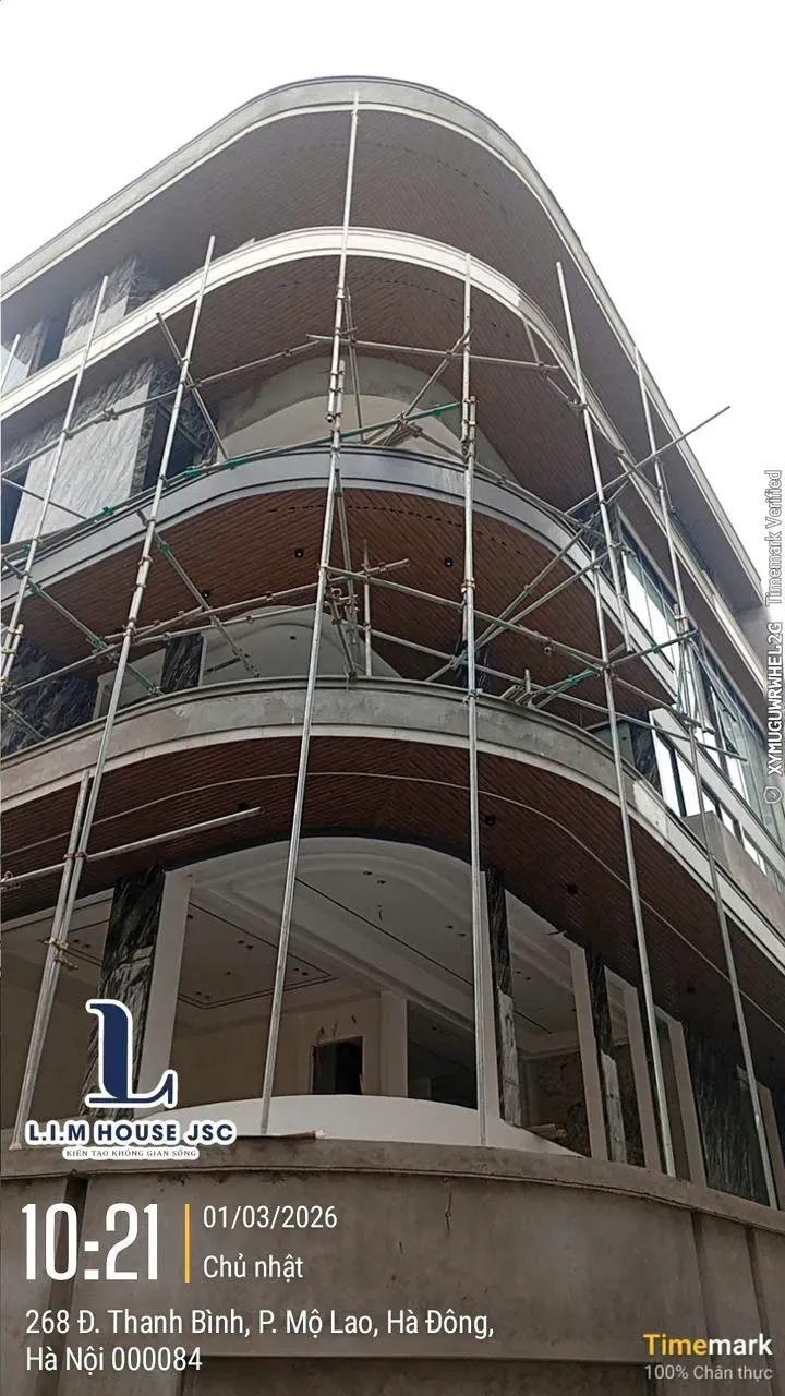 Mẫu 29