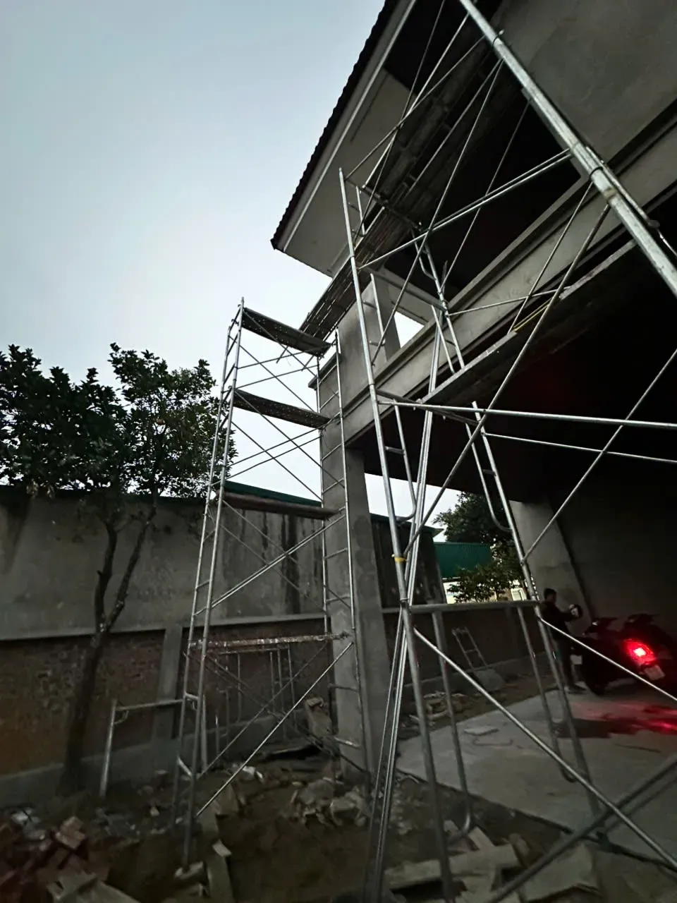 Mẫu 31