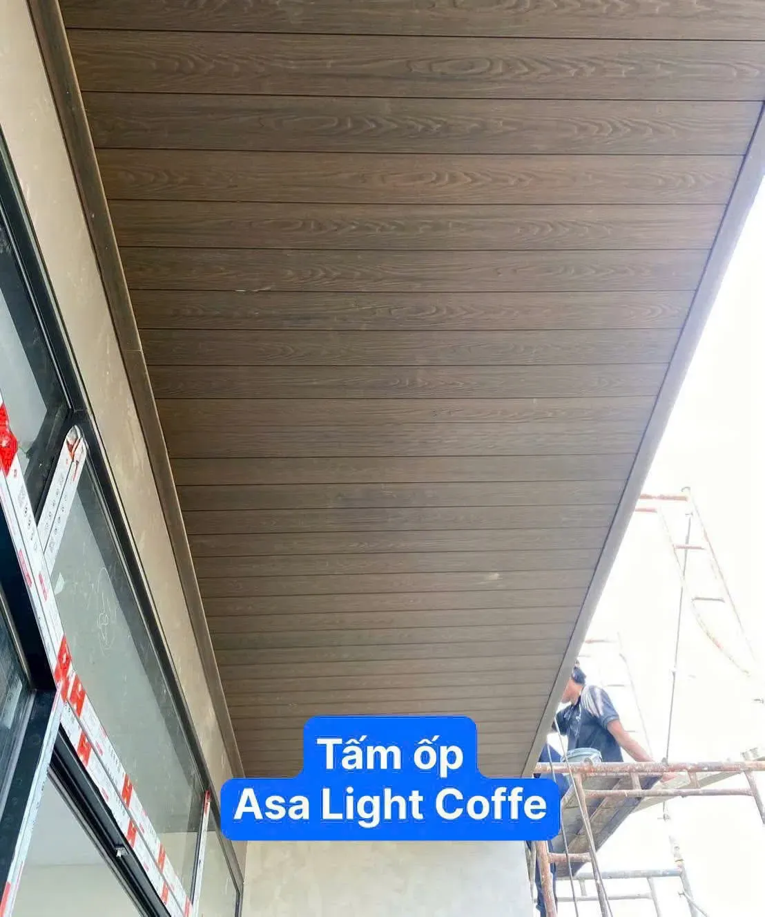 Mẫu 33