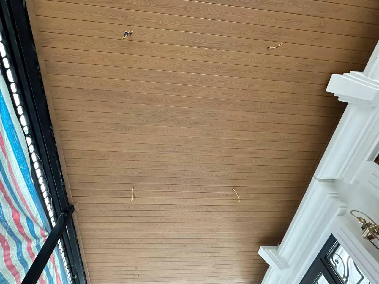 Mẫu 5
