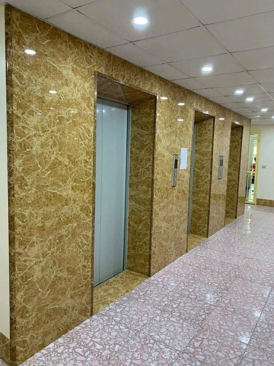 Mẫu 43