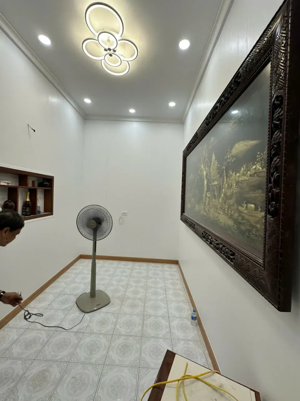 Mẫu 66
